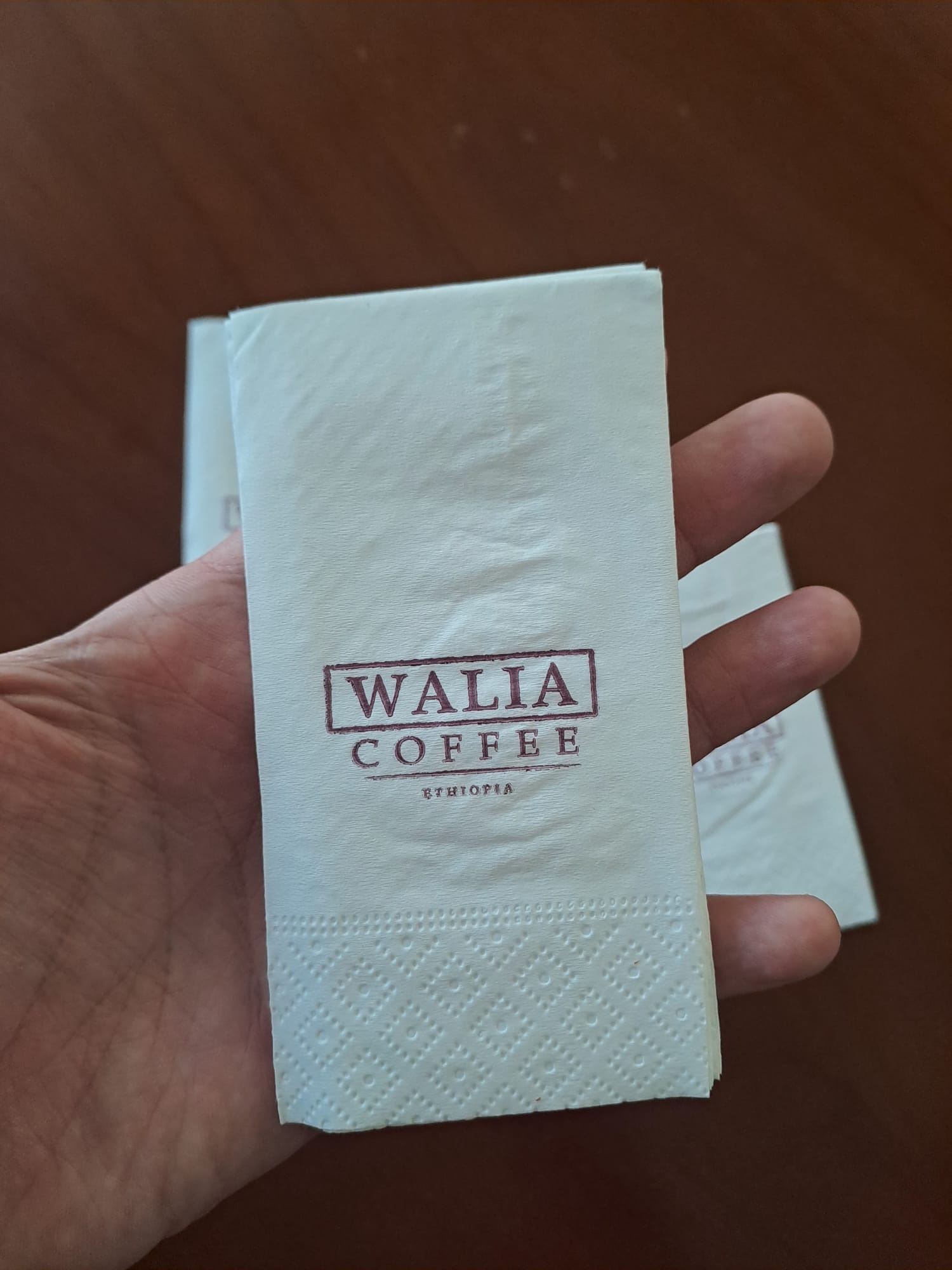 İzmir Bodrum Çeşme Kuşadası Marmaris Baskılı Peçete